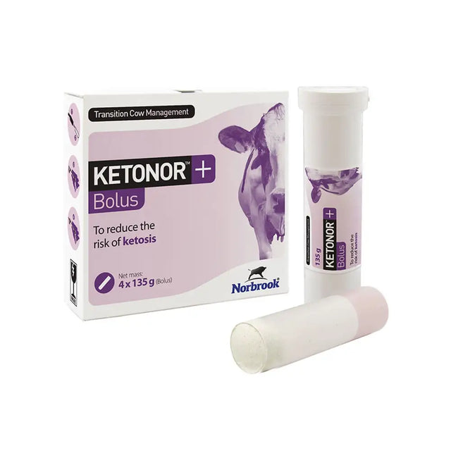 Purple and white cardboard box with a cow illustration containing Norbrook Ketonor+ bolus tubes with slow release cobalt and glucogenic energy sources
