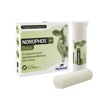 Norbrook norophos plus bolus tablets are white cylindrical phosphorus supplements in green and white cow-themed packaging for equestrian use