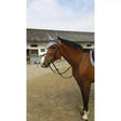A brown horse wearing a gray mesh head covering with norton lux mexican grackle bridle figure 8 noseband
