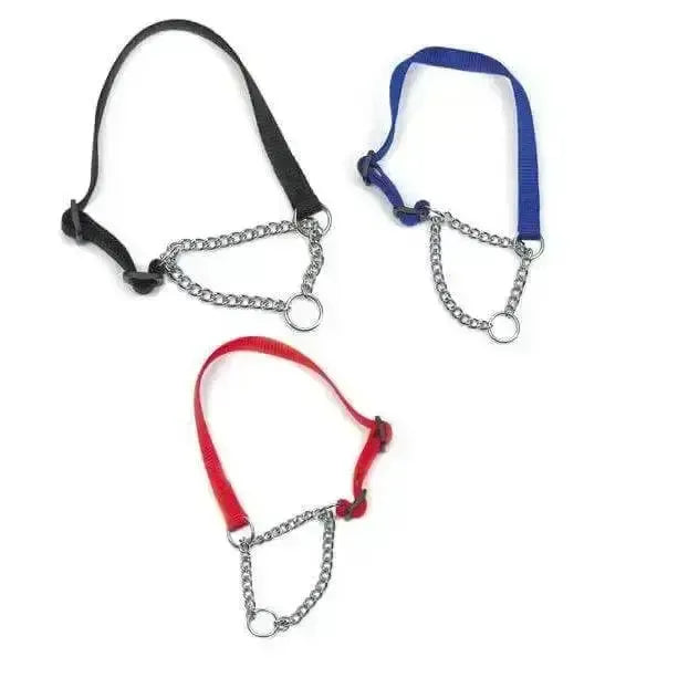 Nylon Check Dog Collars 16mm Red Dog