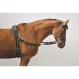 Black leather equestrian harness with pink ring accent attached to nylon side reins for horse training