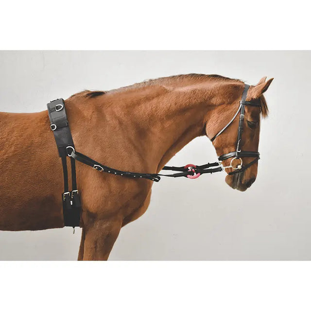 Black leather equestrian harness with pink ring accent attached to nylon side reins for horse training