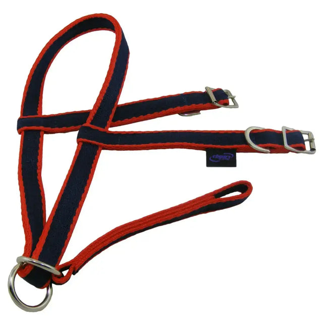 Red and navy blue canvas endurance noseband with silver hardware and throat lash for small pony use