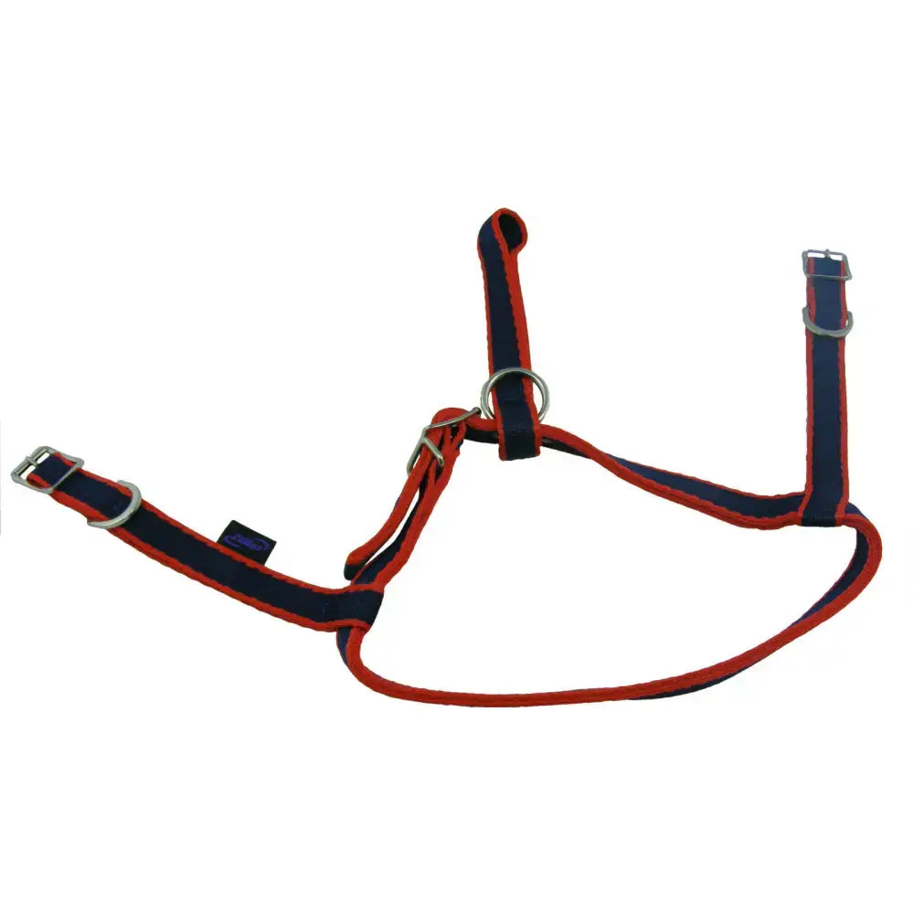 Red and navy blue nylon dog harness with silver hardware from official libbys exmoor noseband collection