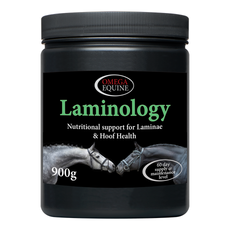 Omega Equine Laminology-900g-Horse Hoof Supplements-Omega Equine-Barnstaple Equestrian Supplies Tack Shop