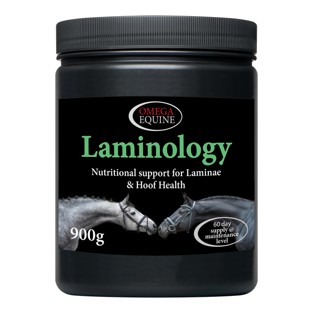 Omega Equine Laminology-900g-Horse Hoof Supplements-Omega Equine-Barnstaple Equestrian Supplies Tack Shop