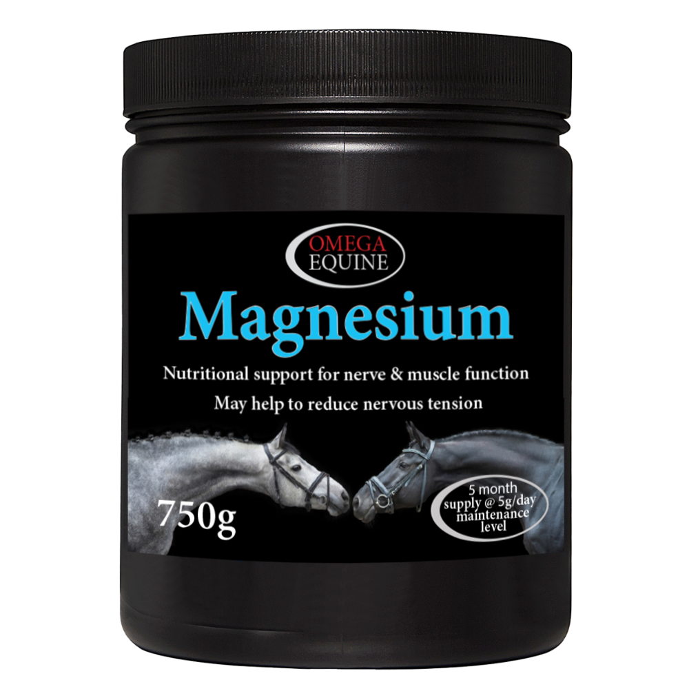Omega Equine Magnesium-Horse Supplements-Omega Equine-Barnstaple Equestrian Supplies Tack Shop