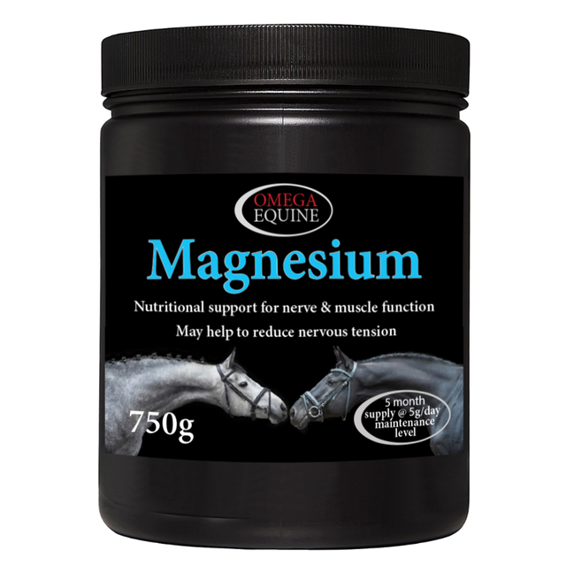 Omega Equine Magnesium-Horse Supplements-Omega Equine-Barnstaple Equestrian Supplies Tack Shop