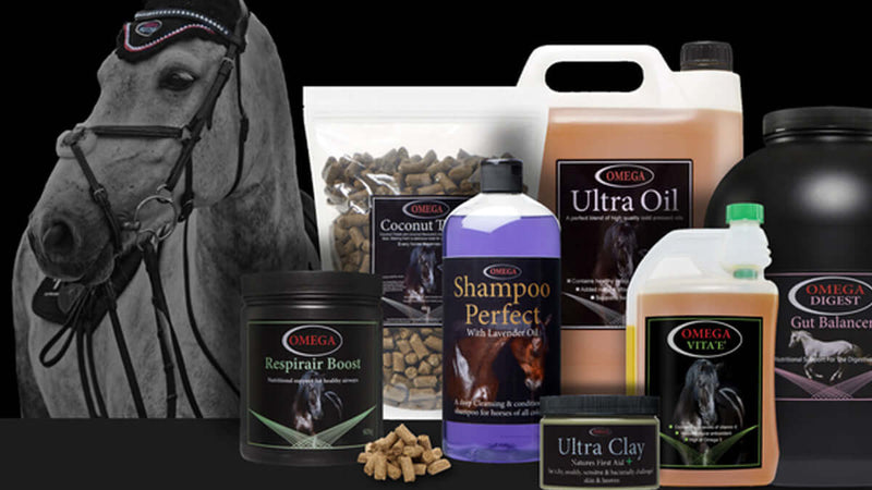 Omega Equine Horse Supplements from Equimins, NAF, Omega Equine, Science Supplements, Hilton Herbs, Global Herbs and Equus Health. Online Discounts Available for local Click & Collection or Van Delivery.  