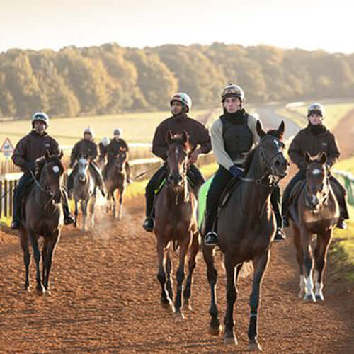 Breeze Up Jockey Clothing - with a range of Jockey Clothing for on the Gallops.  Breeze Jockey Breeches to Waterproof Blouson Riding Coats and Waterproof Over Trousers