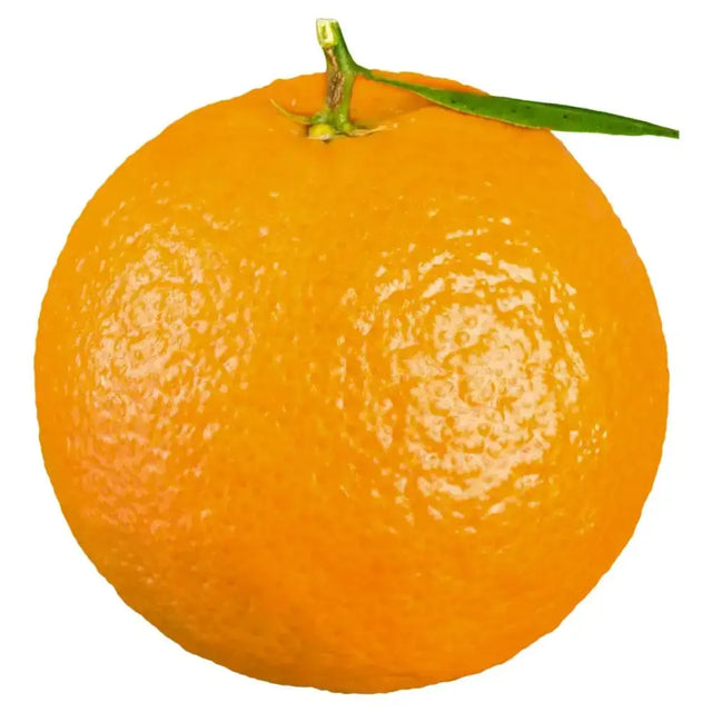 A vibrant orange citrus fruit with a glossy peel and green stem, perfect snack while shopping equestrian supplies online