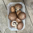 Brown organic chestnut mushrooms nestled in a gray cardboard tray ready for cooking or fresh use