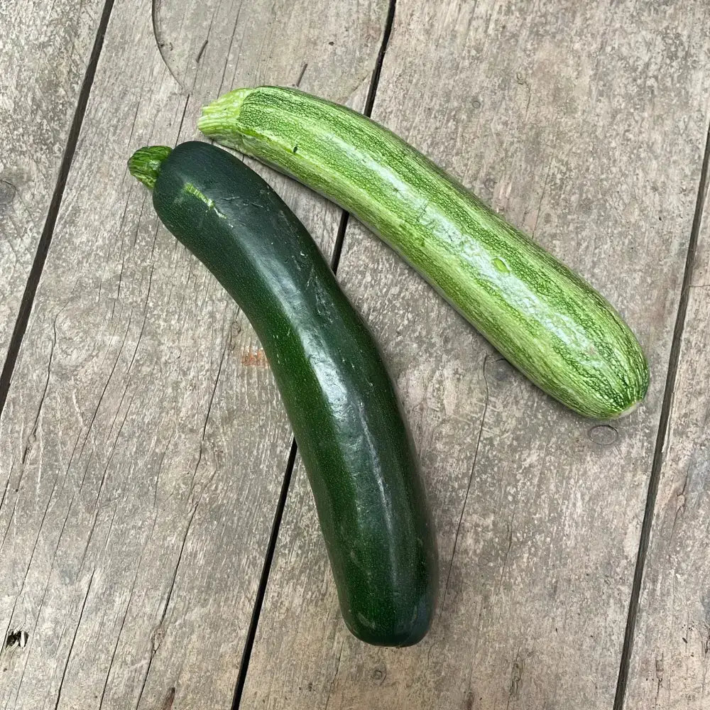 Two hand grown organic courgettes with dark green and light green striped skin from a certified farm