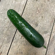 A fresh hand grown organic cucumber with glossy green bumpy skin and stem resting on a weathered wooden surface