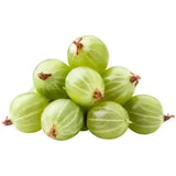 A pile of fresh round green organic gooseberries with small brown stems perfect for organic blackcurrants lovers and equestrian diets
