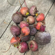 A pile of organic red and purple mixed beets with fresh green stems showing vibrant earthy colors
