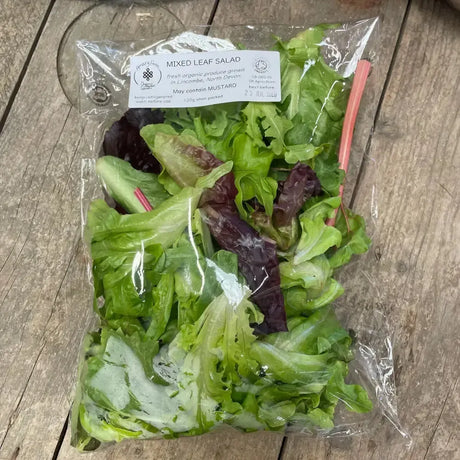 A clear plastic bag of organic mixed leaf salad with vibrant green and purple leaves from pretty farm hand grown