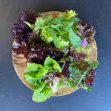 A vibrant organic mixed leaf salad with green and purple hand grown leaves on a rustic wooden plate