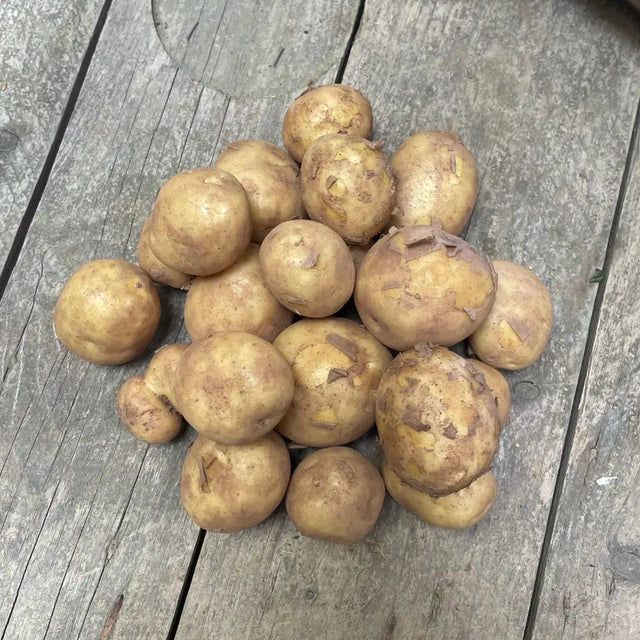 A pile of hand grown organic new potatoes with earthy brown skin on a weathered wooden certified farm surface