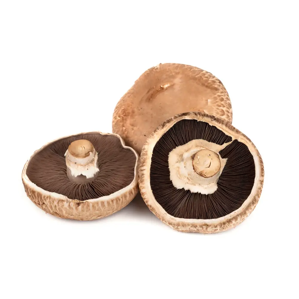 Organic Porttobello Mushrooms