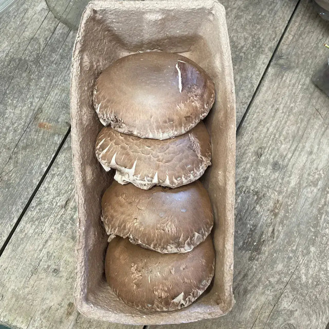 Four brown organic porttobello mushrooms with textured caps in a rectangular cardboard container