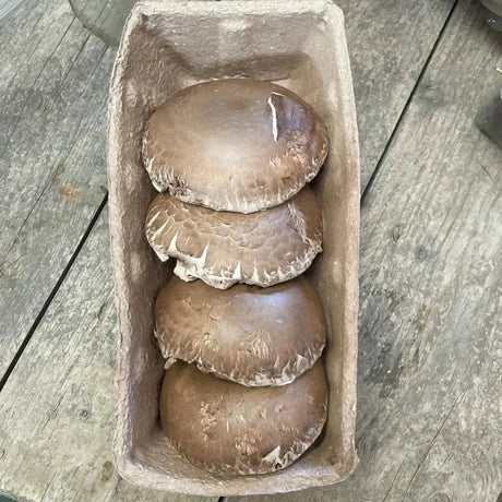 Four brown organic porttobello mushrooms with textured caps in a rectangular cardboard container