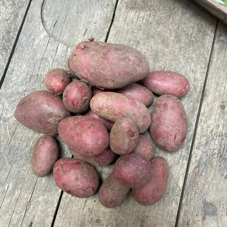 A pile of fresh organic red potatoes with earthy red skins resting on a weathered wooden surface