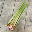 Fresh organic rhubarb stalks with pinkish red bases arranged on a weathered wooden surface for natural use