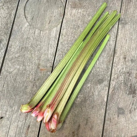 Fresh organic rhubarb stalks with pinkish red bases arranged on a weathered wooden surface for natural use