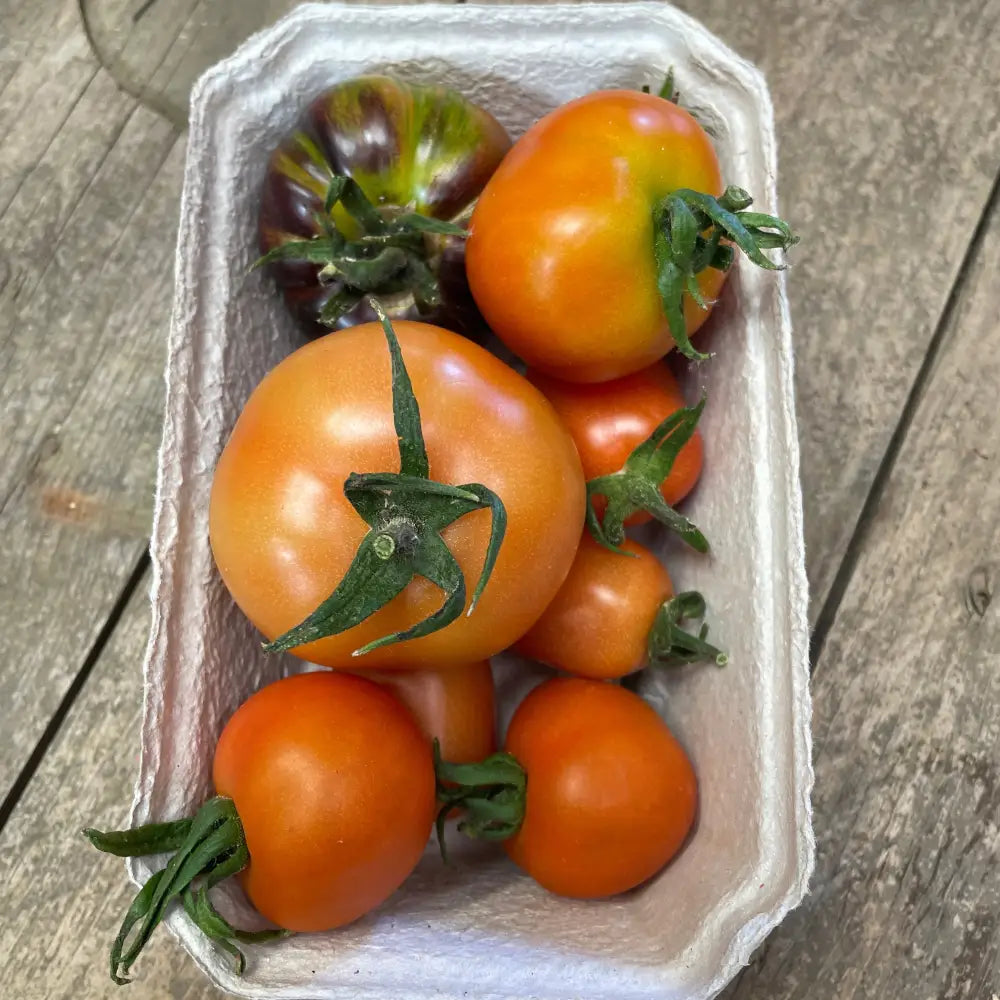 A vibrant mix of organic slicing tomatoes in rich orange and deep purple with green stems from a certified farm