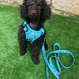 A bright light teal otterly lovely 5ft dog lead with sea otters pattern and matching dog harness set