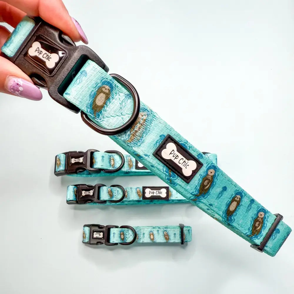 Teal aqua-blue adjustable lovely dog collar with playful otter pattern and pup chic label otterly lovely dog accessory