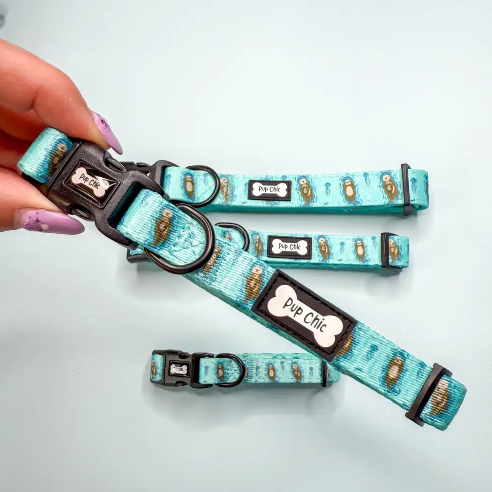 Teal aqua-blue adjustable lovely dog collar with playful otter pattern and pup chic bone tags perfect for otterly lovely dog