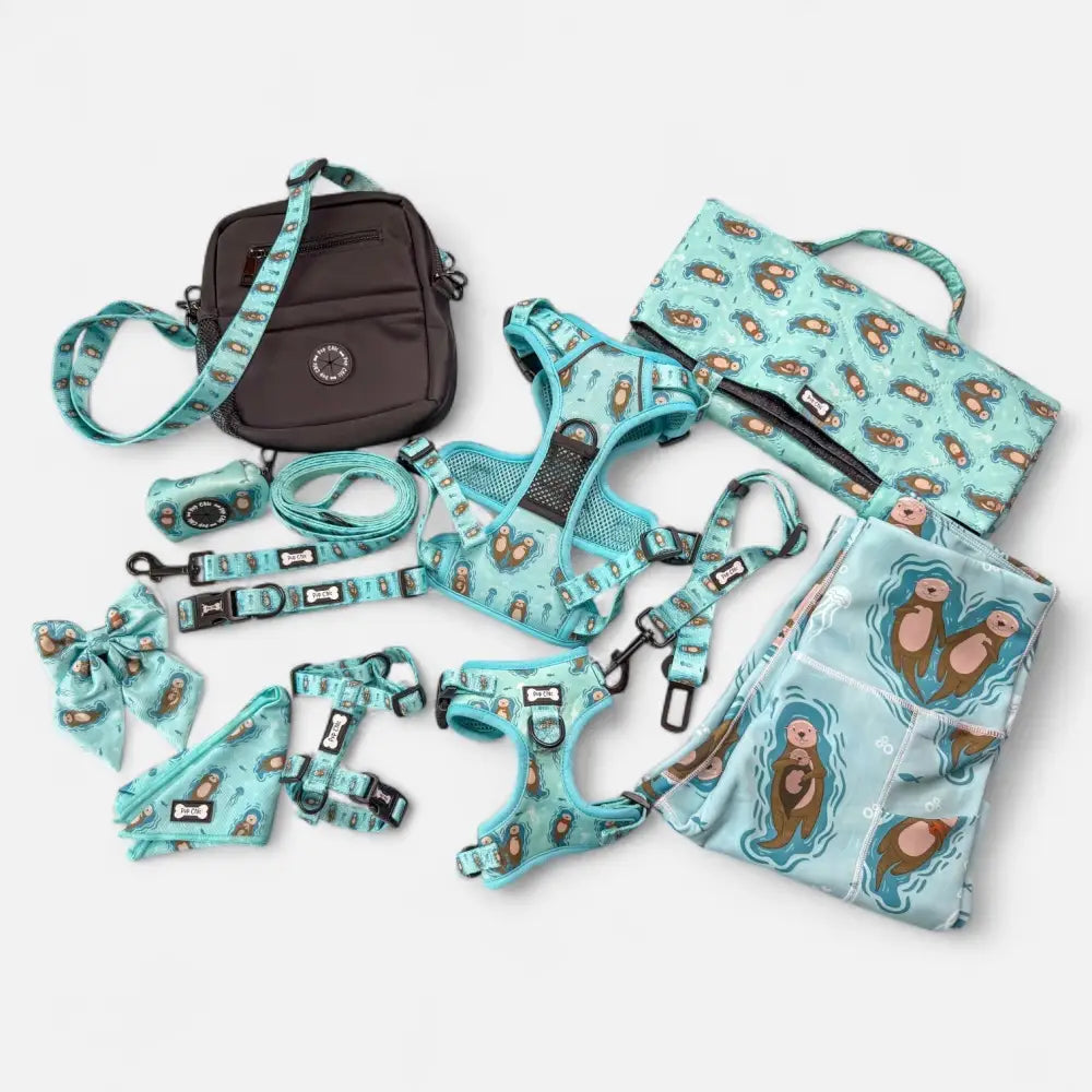 Teal otter-themed lovely dog collar harness and leash set with black hardware and aqua-blue adjustable straps