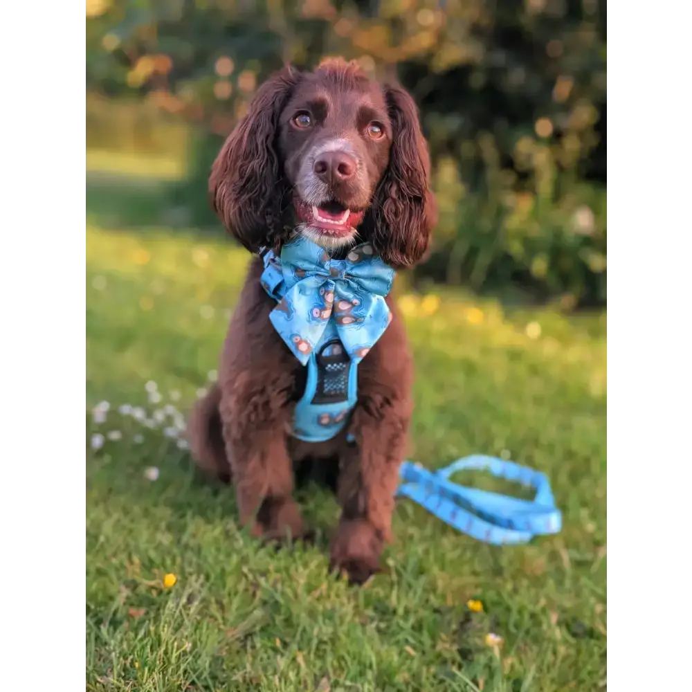 Otterly Lovely Sailor bow 🦦💙 Pet Products