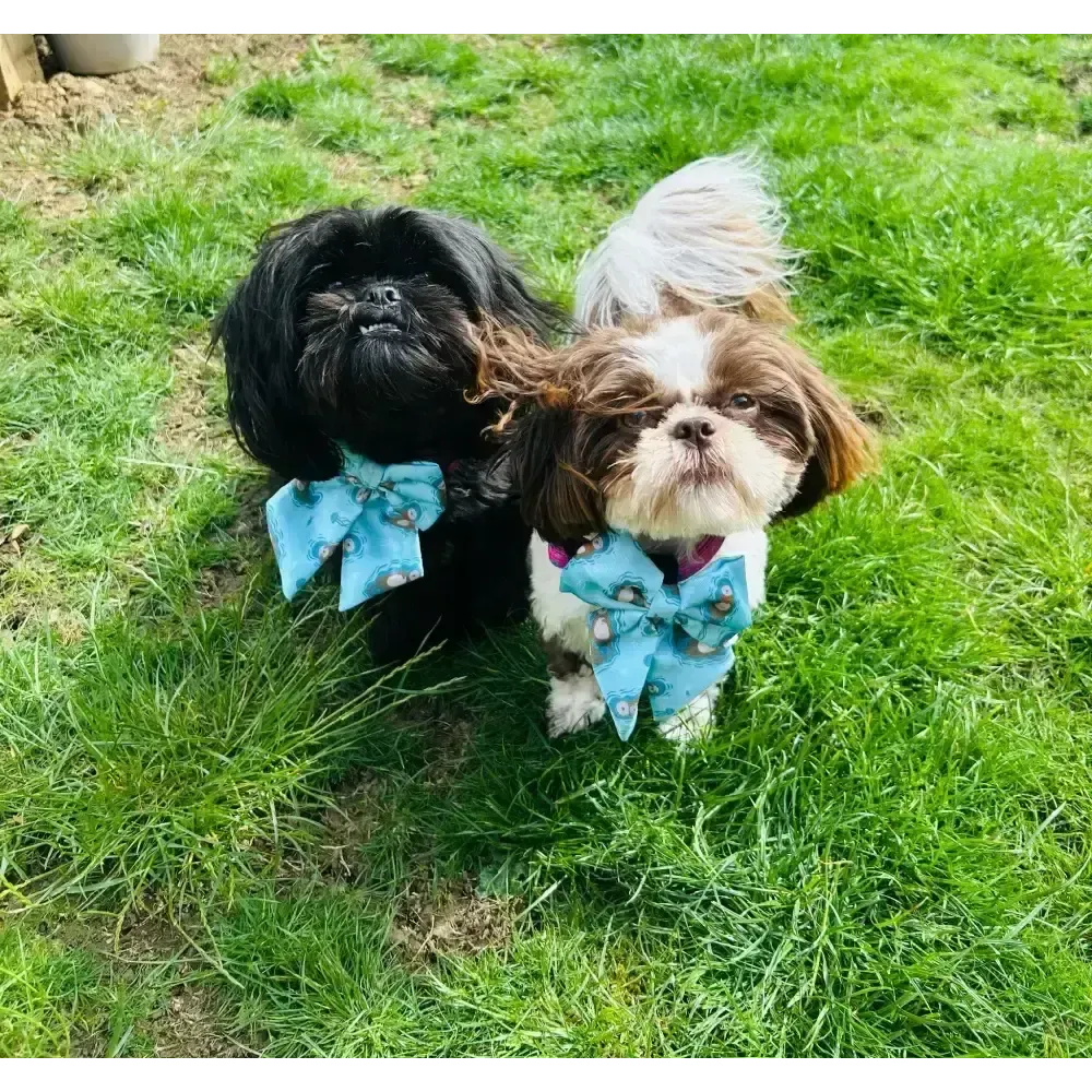 Otterly Lovely Sailor bow 🦦💙 Pet Products
