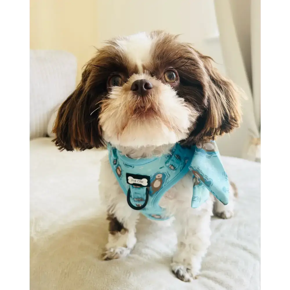 Otterly Lovely Step-In Adjustable Dog Harness XXS Pet Products