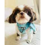 Otterly lovely step-in adjustable dog harness in light blue with playful owl pattern and black metal hardware for pup chic style