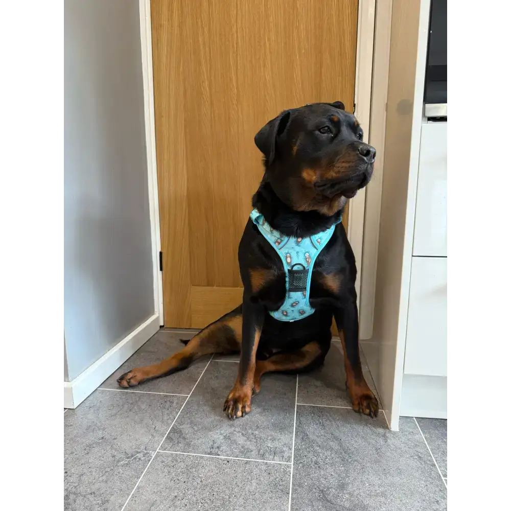 Otterly Lovely Tactical Dog Harness S 