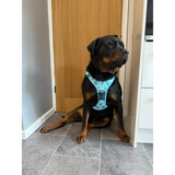 Otterly Lovely Tactical Dog Harness S 