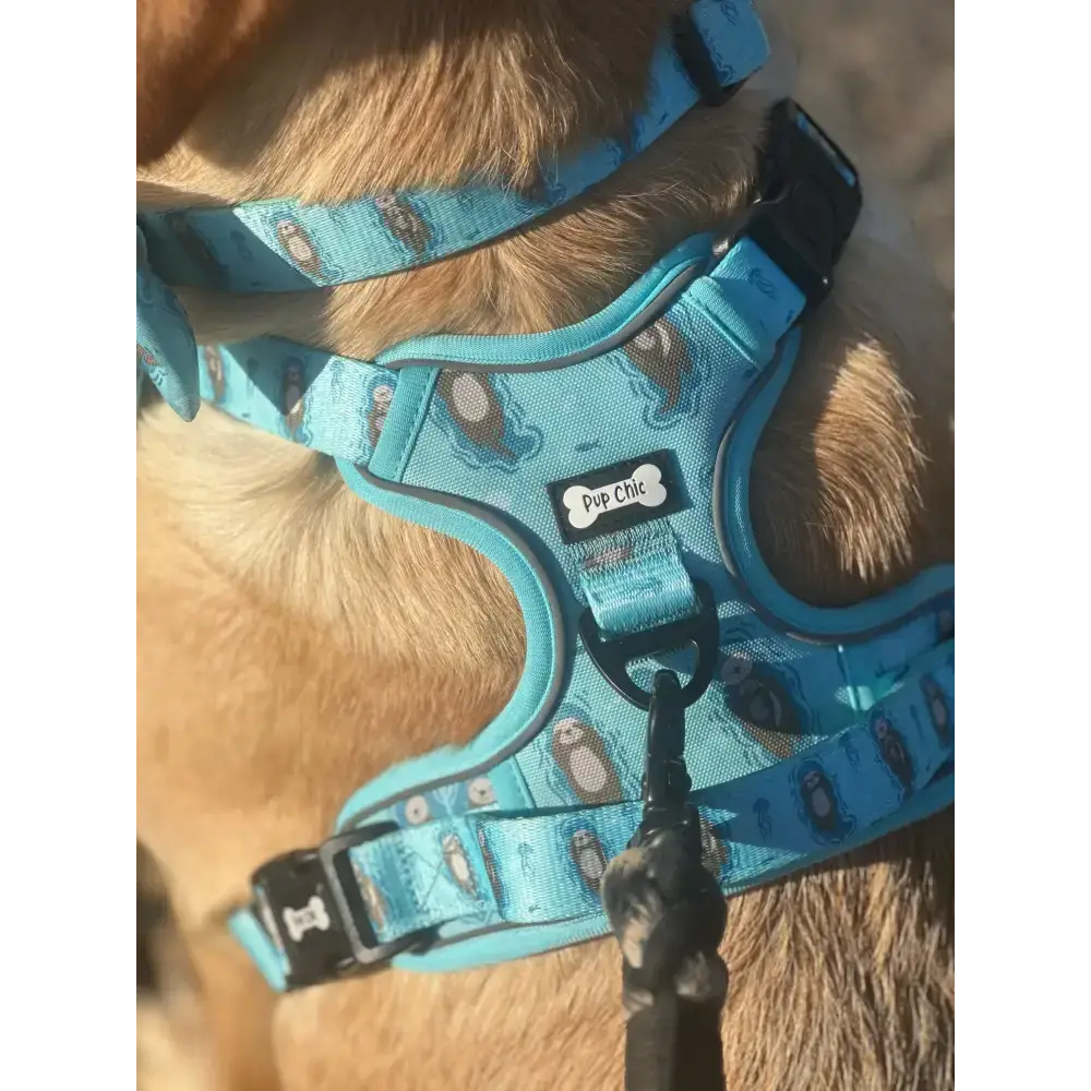 Otterly Lovely Tactical Dog Harness S 