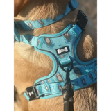 Otterly Lovely Tactical Dog Harness S 