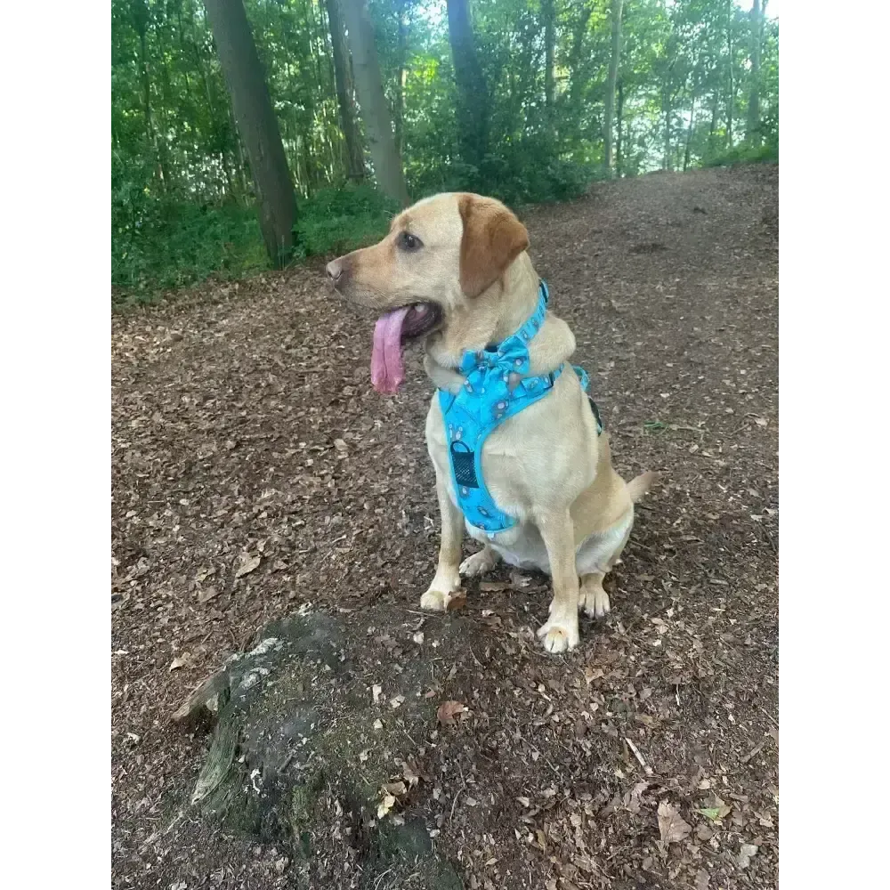 Otterly Lovely Tactical Dog Harness S 
