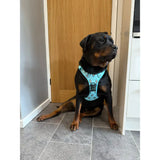 Teal otterly lovely tactical dog harness with black padlock pattern and adjustable straps for close control busy areas