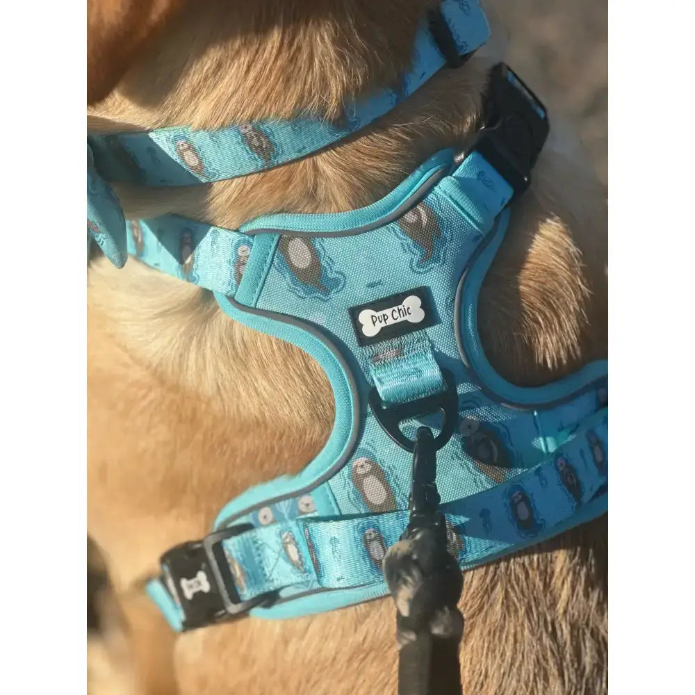Turquoise blue otterly lovely tactical dog harness with playful owl pattern and pup chic label for close control busy areas