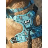 Turquoise blue otterly lovely tactical dog harness with playful owl pattern and pup chic label for close control busy areas