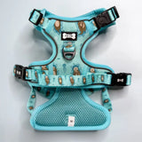 Turquoise otterly lovely tactical dog harness with playful otter jellyfish pattern mesh padding and black buckles for close control busy areas