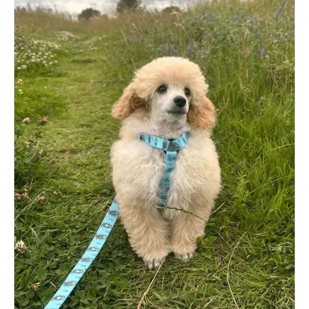 Otterly Lovely XXXS Puppy Harness Pet Products