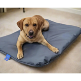 P&L Country Dog Heavy Duty Waterproof Duvet Dog Beds. Small - L 82 cm X W 64 cm X D 9 cm Black Dog Beds