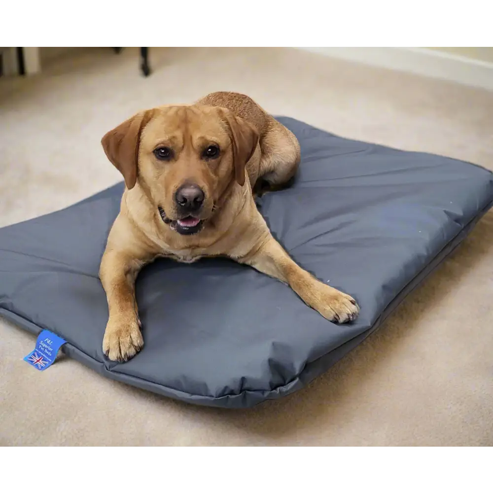 P&L Country Dog Heavy Duty Waterproof Duvet Dog Beds.